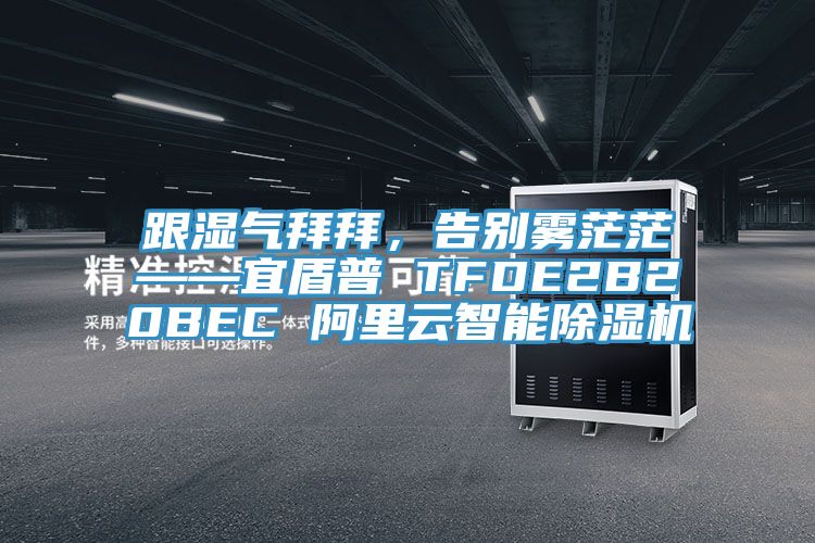 跟濕氣拜拜，告別霧茫?！硕芷?TFDE2B20BEC 阿里云智能除濕機