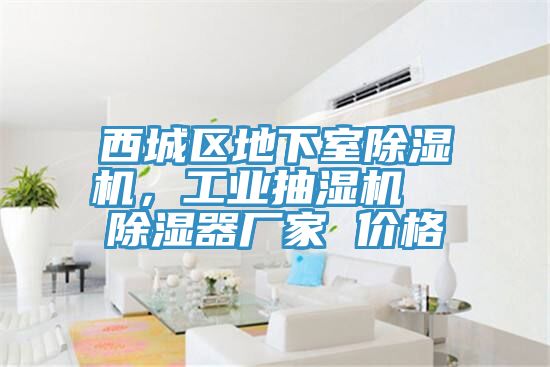 西城區(qū)地下室除濕機，工業(yè)抽濕機  除濕器廠家 價格