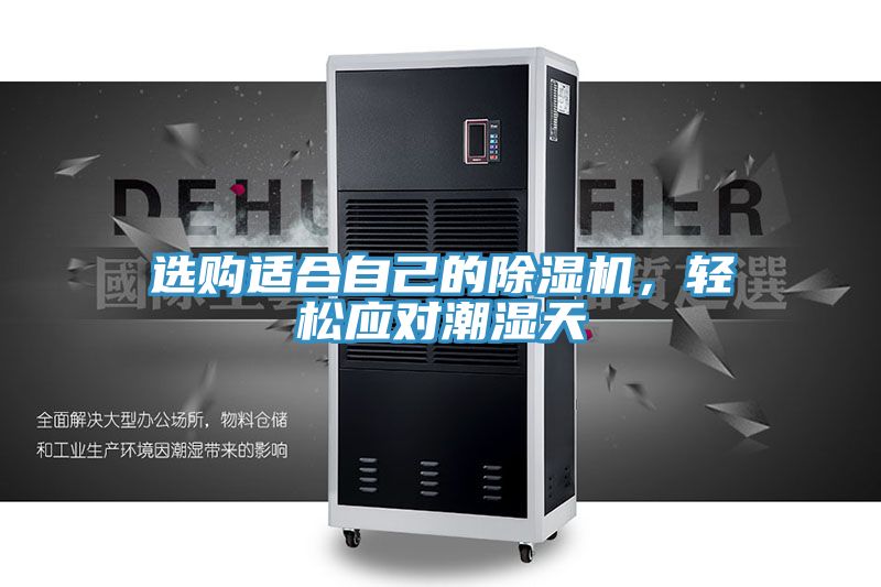 選購適合自己的除濕機，輕松應對潮濕天