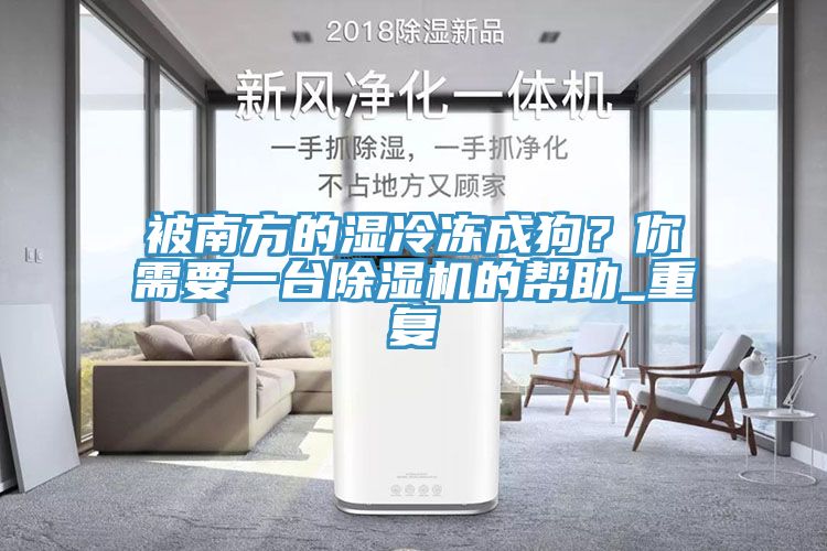 被南方的濕冷凍成狗？你需要一臺除濕機的幫助_重復