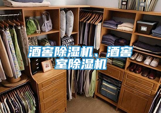 酒窖除濕機(jī)、酒窖室除濕機(jī)
