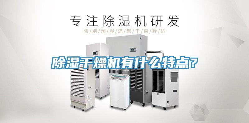 除濕干燥機(jī)有什么特點(diǎn)？