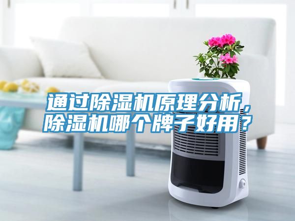 通過除濕機(jī)原理分析，除濕機(jī)哪個牌子好用？