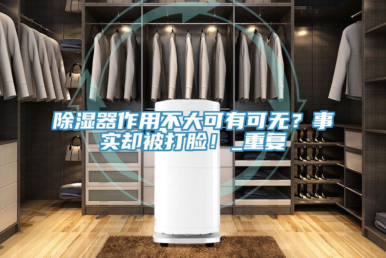 除濕器作用不大可有可無？事實卻被打臉！_重復