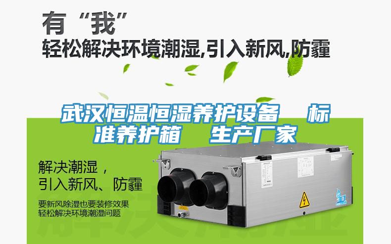 武漢恒溫恒濕養(yǎng)護(hù)設(shè)備  標(biāo)準(zhǔn)養(yǎng)護(hù)箱  生產(chǎn)廠(chǎng)家