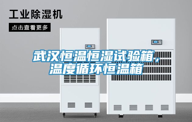 武漢恒溫恒濕試驗(yàn)箱，溫度循環(huán)恒溫箱