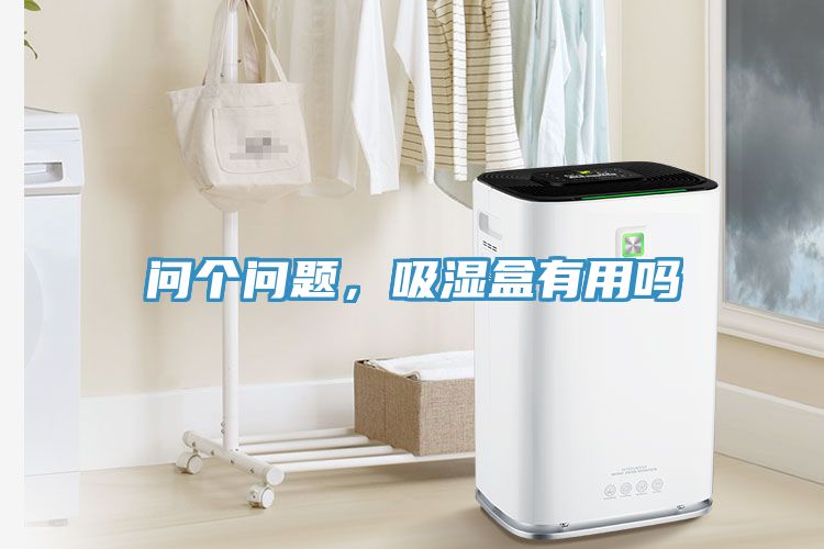 問個問題，吸濕盒有用嗎