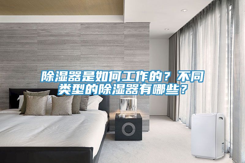 除濕器是如何工作的？不同類型的除濕器有哪些？