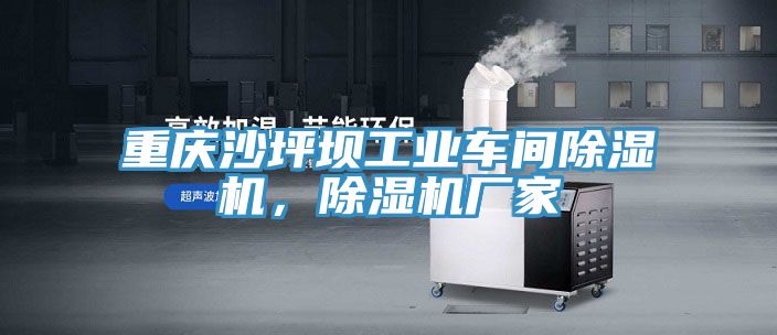 重慶沙坪壩工業(yè)車間除濕機(jī)，除濕機(jī)廠家