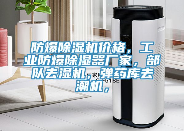 防爆除濕機價格，工業(yè)防爆除濕器廠家，部隊去濕機，彈藥庫去潮機，