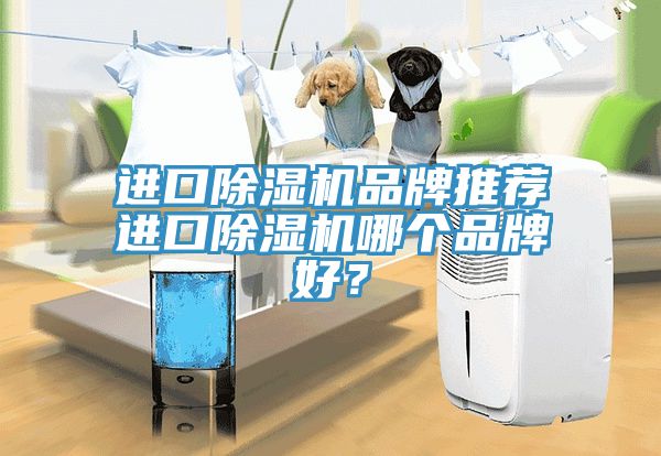 進(jìn)口除濕機(jī)品牌推薦進(jìn)口除濕機(jī)哪個(gè)品牌好？