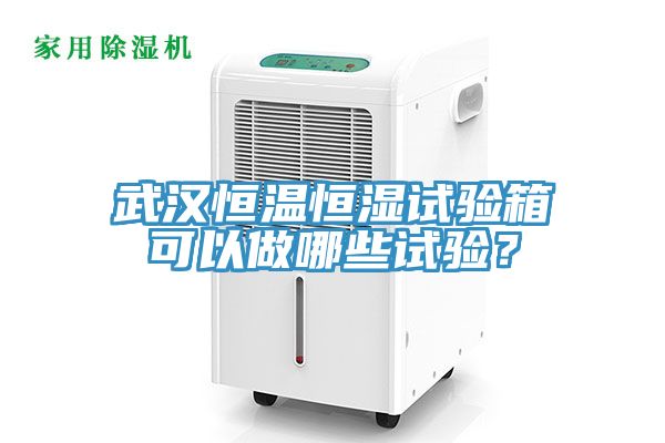 武漢恒溫恒濕試驗(yàn)箱可以做哪些試驗(yàn)？