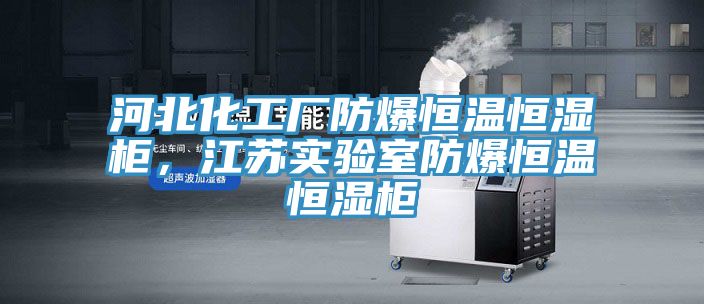 河北化工廠防爆恒溫恒濕柜，江蘇實(shí)驗(yàn)室防爆恒溫恒濕柜