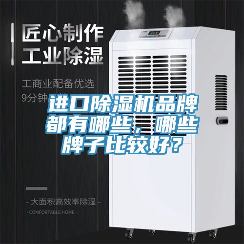 進(jìn)口除濕機(jī)品牌都有哪些，哪些牌子比較好？
