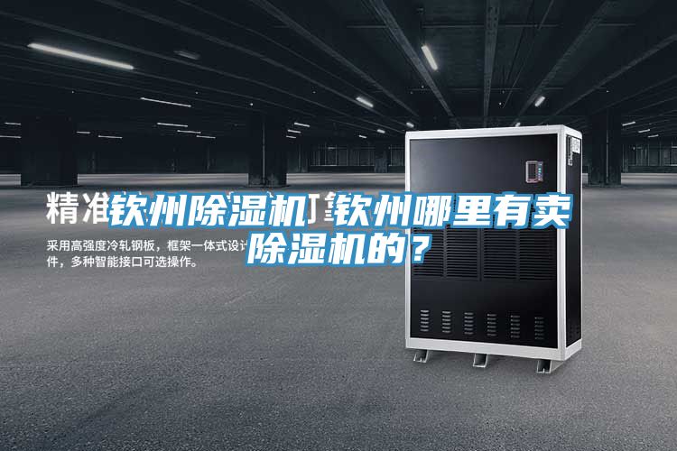 欽州除濕機(jī) 欽州哪里有賣除濕機(jī)的？