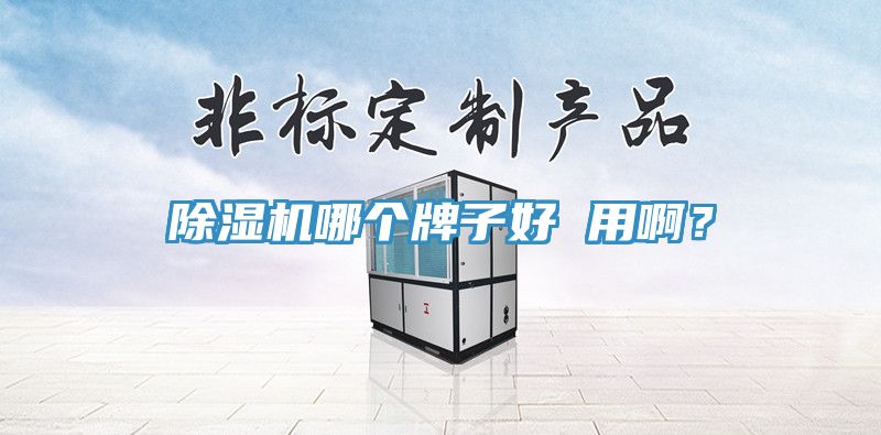 除濕機(jī)哪個(gè)牌子好 用??？