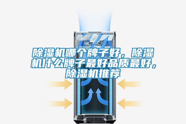 除濕機哪個牌子好，除濕機什么牌子最好品質(zhì)最好，除濕機推薦