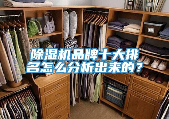 除濕機(jī)品牌十大排名怎么分析出來的？