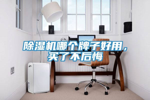 除濕機哪個牌子好用，買了不后悔