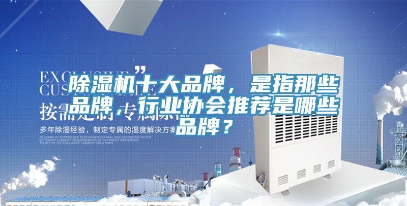 除濕機(jī)十大品牌，是指那些品牌，行業(yè)協(xié)會(huì)推薦是哪些品牌？