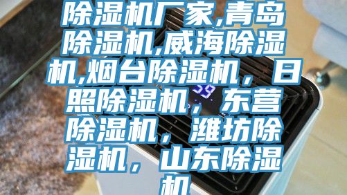 除濕機廠家,青島除濕機,威海除濕機,煙臺除濕機，日照除濕機，東營除濕機，濰坊除濕機，山東除濕機