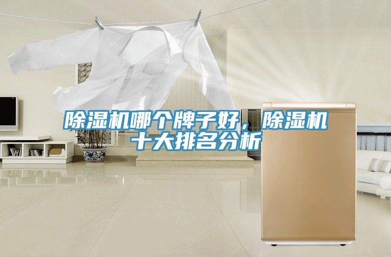 除濕機哪個牌子好，除濕機十大排名分析