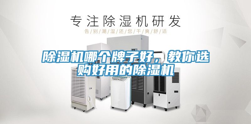 除濕機哪個牌子好，教你選購好用的除濕機