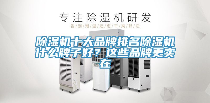 除濕機(jī)十大品牌排名除濕機(jī)什么牌子好？這些品牌更實(shí)在