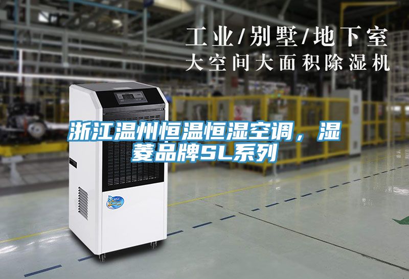 浙江溫州恒溫恒濕空調(diào)，濕菱品牌SL系列