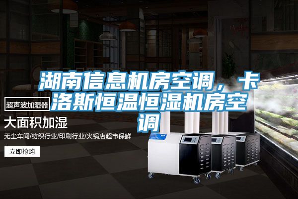 湖南信息機(jī)房空調(diào)，卡洛斯恒溫恒濕機(jī)房空調(diào)