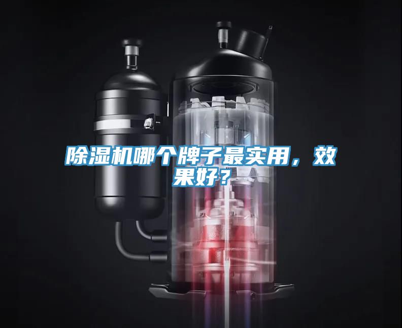 除濕機哪個牌子最實用，效果好？
