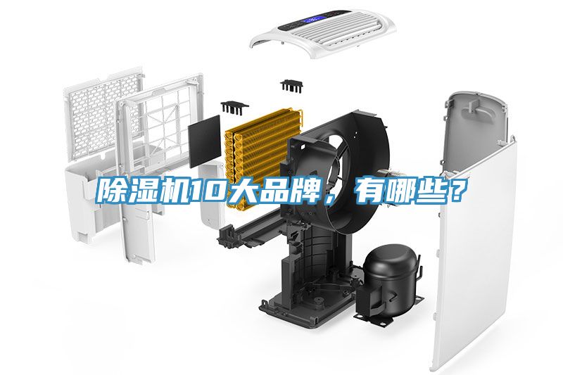 除濕機(jī)10大品牌，有哪些？