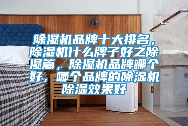 除濕機品牌十大排名，除濕機什么牌子好之除濕篇，除濕機品牌哪個好，哪個品牌的除濕機除濕效果好