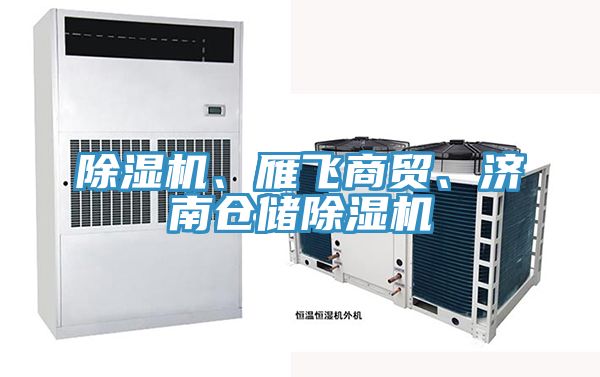 除濕機、雁飛商貿、濟南倉儲除濕機