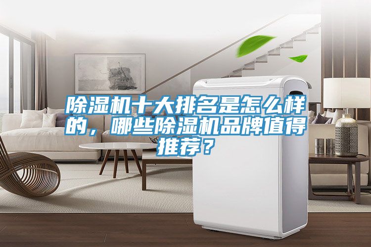 除濕機(jī)十大排名是怎么樣的，哪些除濕機(jī)品牌值得推薦？