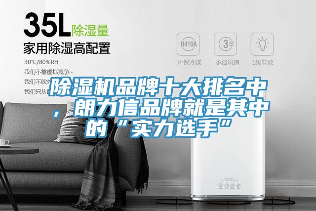 除濕機(jī)品牌十大排名中，朗力信品牌就是其中的“實力選手”