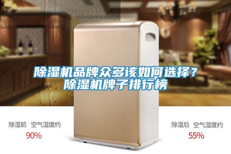 除濕機(jī)品牌眾多該如何選擇？除濕機(jī)牌子排行榜