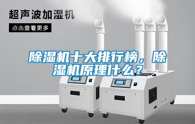 除濕機(jī)十大排行榜，除濕機(jī)原理什么？