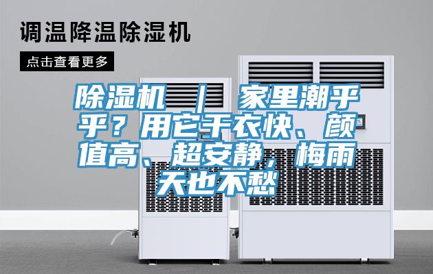 除濕機 ｜ 家里潮乎乎？用它干衣快、顏值高、超安靜，梅雨天也不愁