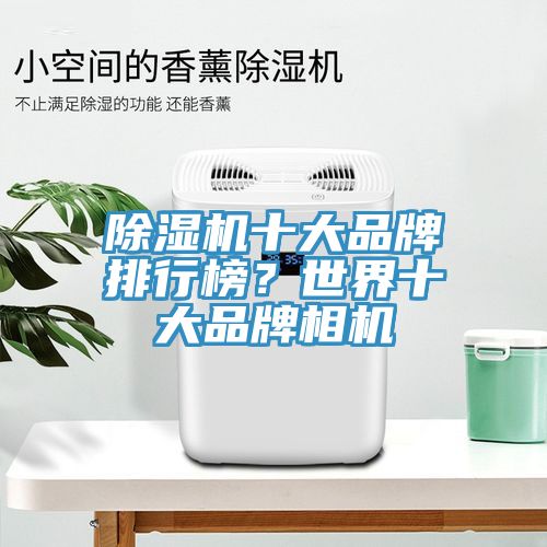 除濕機(jī)十大品牌排行榜？世界十大品牌相機(jī)