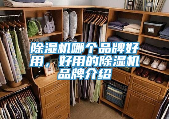 除濕機(jī)哪個品牌好用，好用的除濕機(jī)品牌介紹
