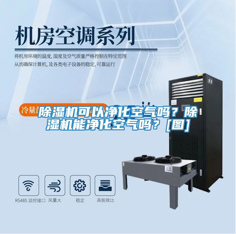 除濕機(jī)可以?xún)艋諝鈫幔砍凉駲C(jī)能凈化空氣嗎？[圖]