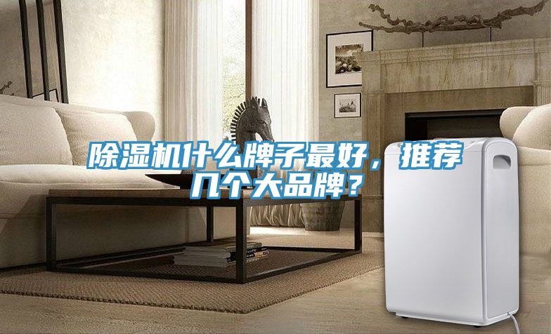 除濕機(jī)什么牌子最好，推薦幾個(gè)大品牌？