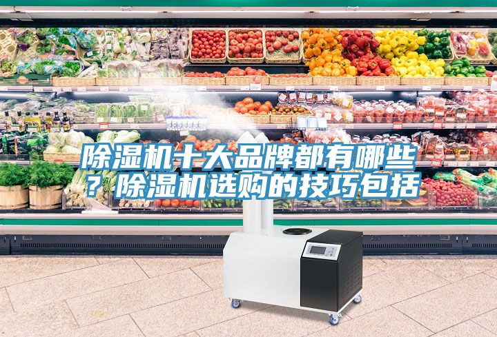除濕機(jī)十大品牌都有哪些？除濕機(jī)選購(gòu)的技巧包括