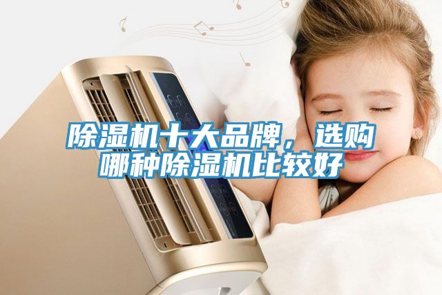 除濕機(jī)十大品牌，選購(gòu)哪種除濕機(jī)比較好