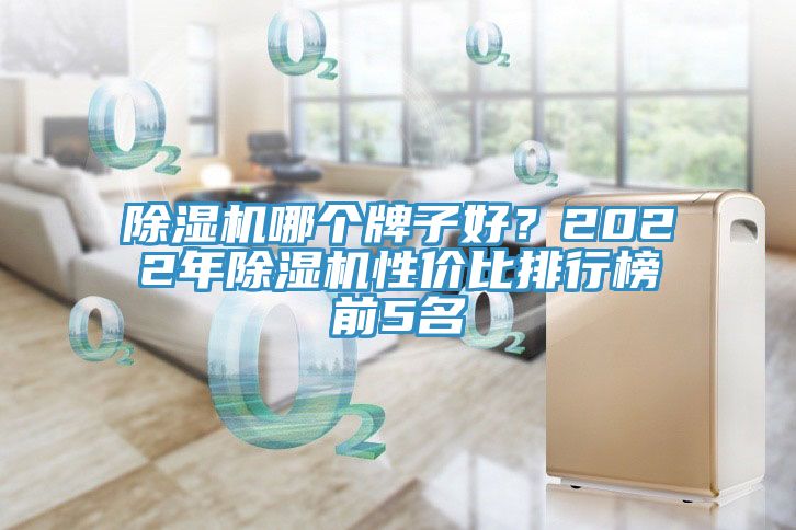 除濕機哪個牌子好？2022年除濕機性價比排行榜前5名