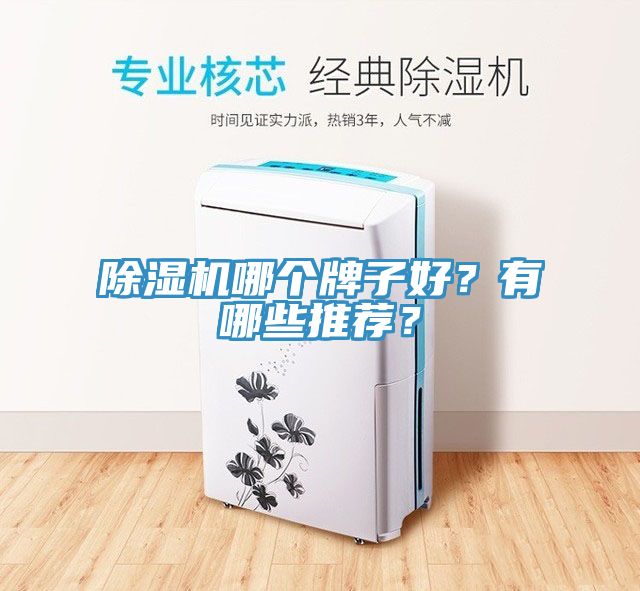 除濕機哪個牌子好？有哪些推薦？