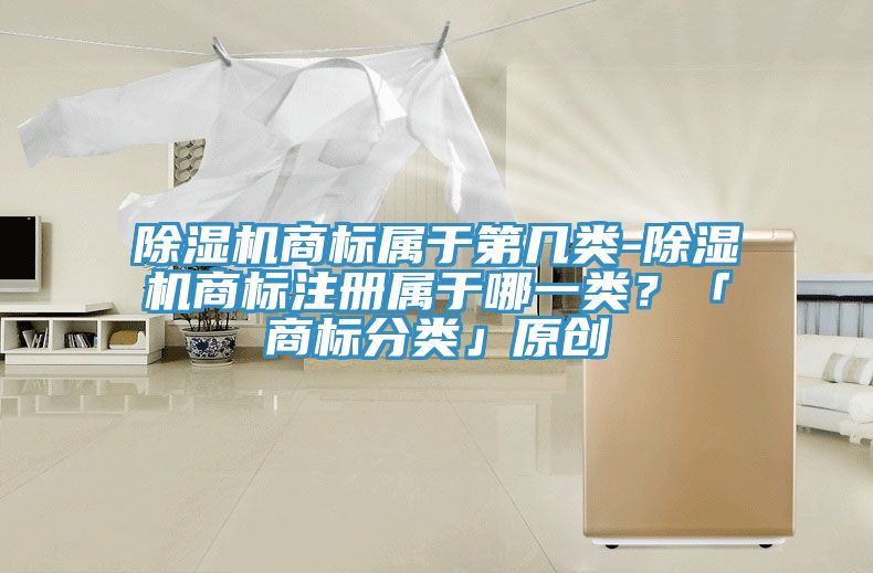 除濕機(jī)商標(biāo)屬于第幾類-除濕機(jī)商標(biāo)注冊(cè)屬于哪一類？「商標(biāo)分類」原創(chuàng)