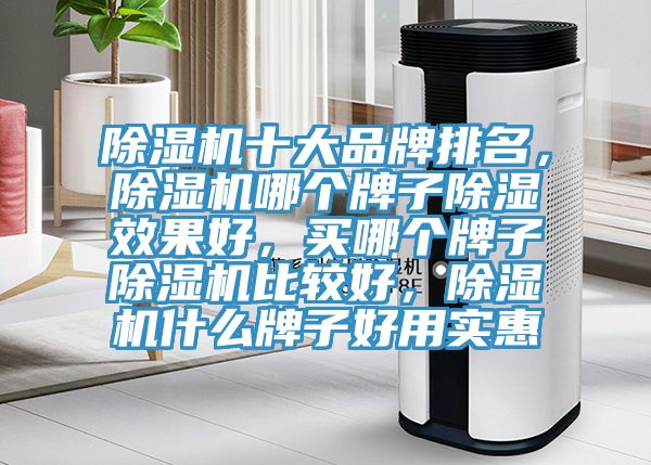 除濕機(jī)十大品牌排名，除濕機(jī)哪個(gè)牌子除濕效果好，買哪個(gè)牌子除濕機(jī)比較好，除濕機(jī)什么牌子好用實(shí)惠