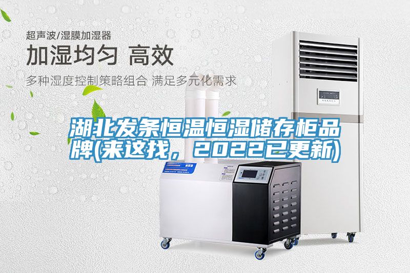 湖北發(fā)條恒溫恒濕儲(chǔ)存柜品牌(來(lái)這找，2022已更新)